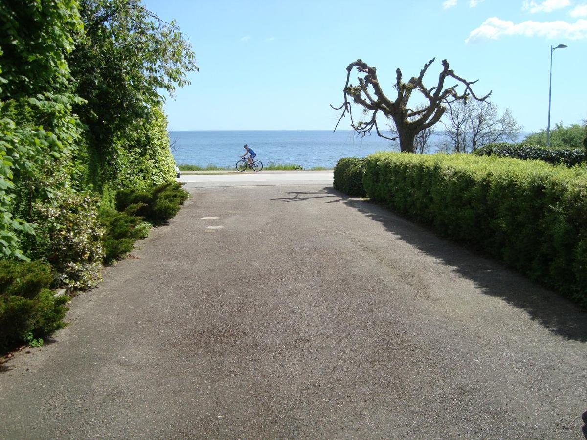 Guest Cottege Villa Ystad Bagian luar foto